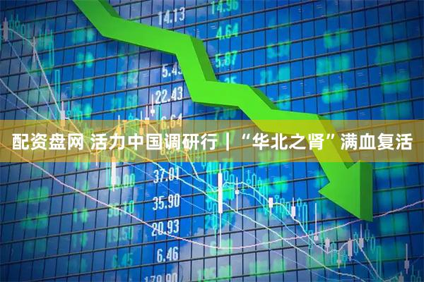 配资盘网 活力中国调研行｜“华北之肾”满血复活