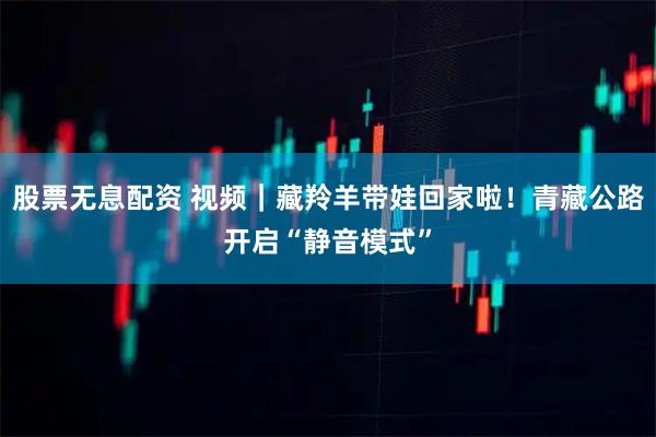 股票无息配资 视频｜藏羚羊带娃回家啦！青藏公路开启“静音模式”