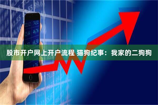 股市开户网上开户流程 猫狗纪事：我家的二狗狗
